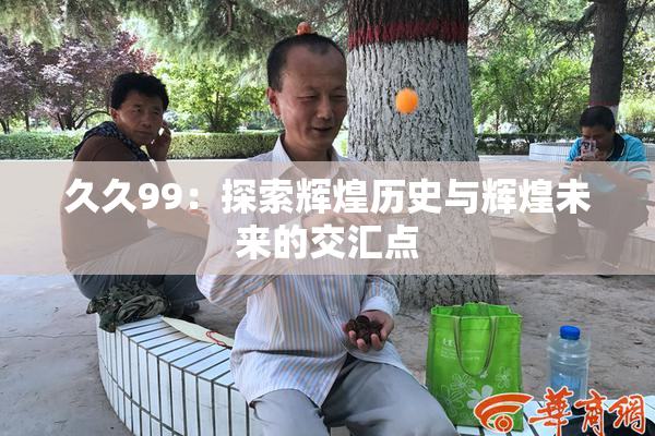 久久99：探索辉煌历史与辉煌未来的交汇点