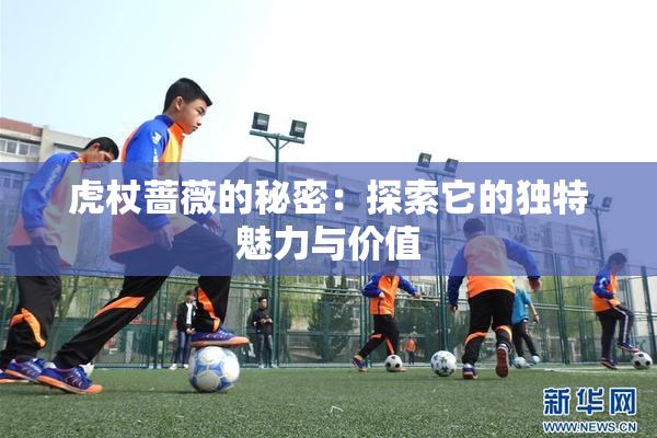 虎杖蔷薇的秘密：探索它的独特魅力与价值