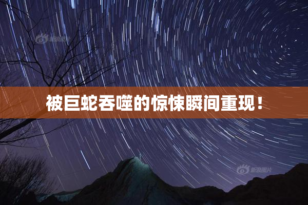 被巨蛇吞噬的惊悚瞬间重现！