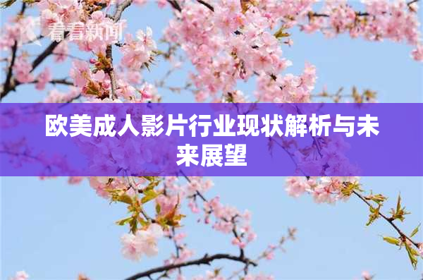 欧美成人影片行业现状解析与未来展望