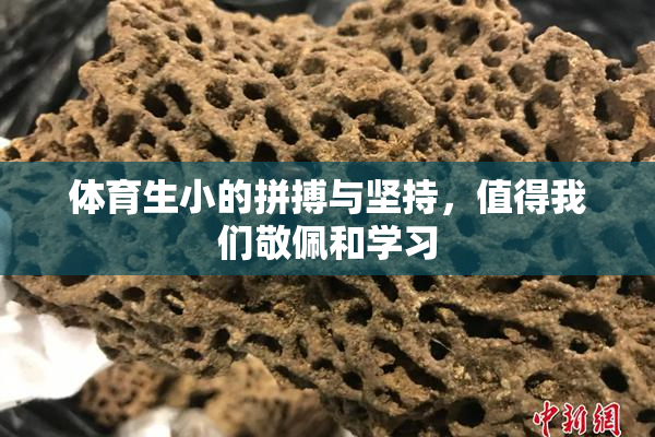 体育生小的拼搏与坚持，值得我们敬佩和学习