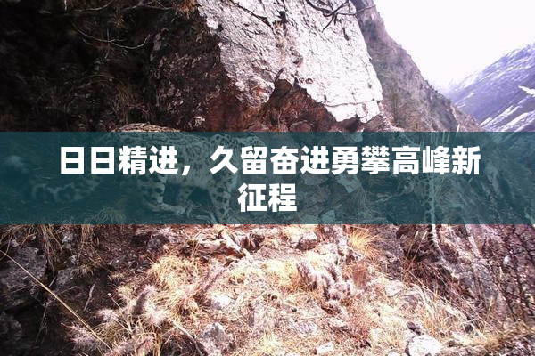 日日精进，久留奋进勇攀高峰新征程