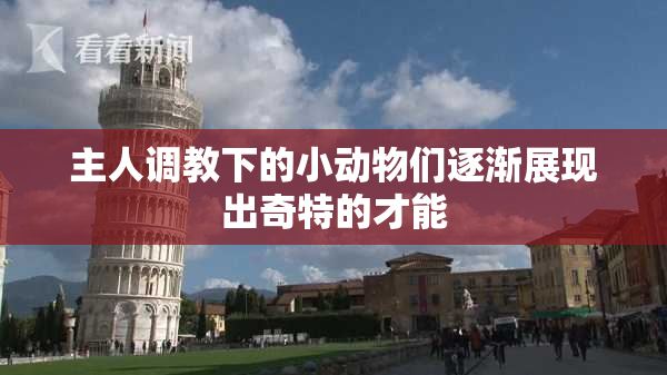 主人调教下的小动物们逐渐展现出奇特的才能