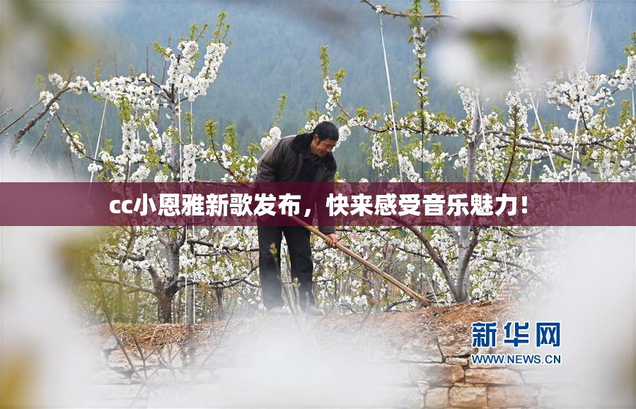 cc小恩雅新歌发布，快来感受音乐魅力！