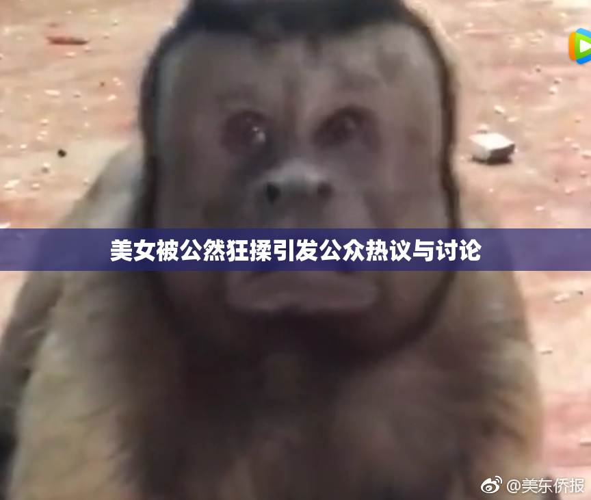 美女被公然狂揉引发公众热议与讨论