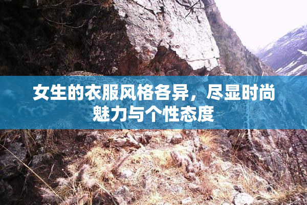 女生的衣服风格各异，尽显时尚魅力与个性态度