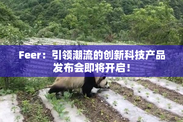 Feer：引领潮流的创新科技产品发布会即将开启！