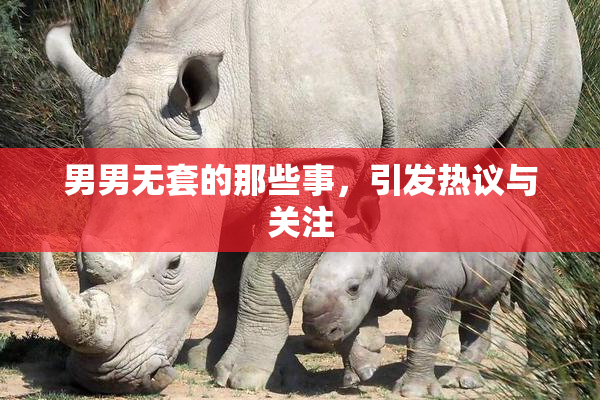 男男无套的那些事，引发热议与关注