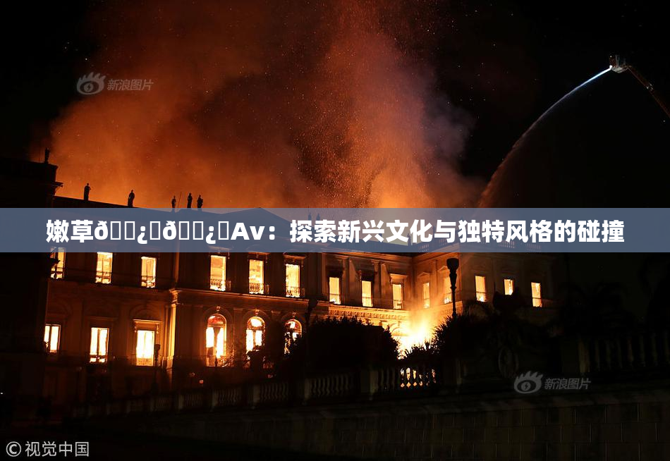 嫩草🌿‌🌿‌Av：探索新兴文化与独特风格的碰撞