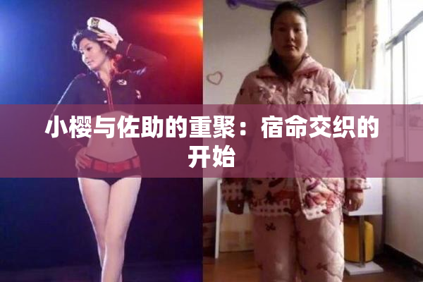 小樱与佐助的重聚：宿命交织的开始
