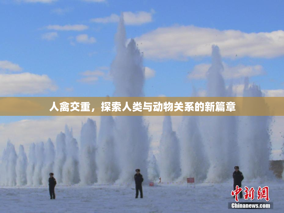 人禽交重，探索人类与动物关系的新篇章