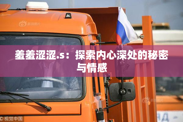 羞羞涩涩.s：探索内心深处的秘密与情感