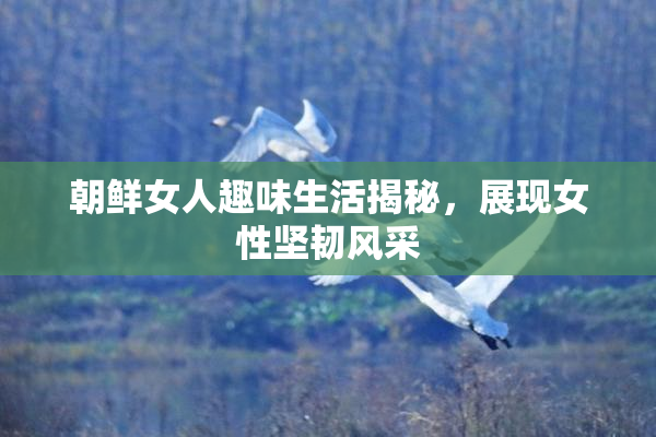 朝鲜女人趣味生活揭秘，展现女性坚韧风采