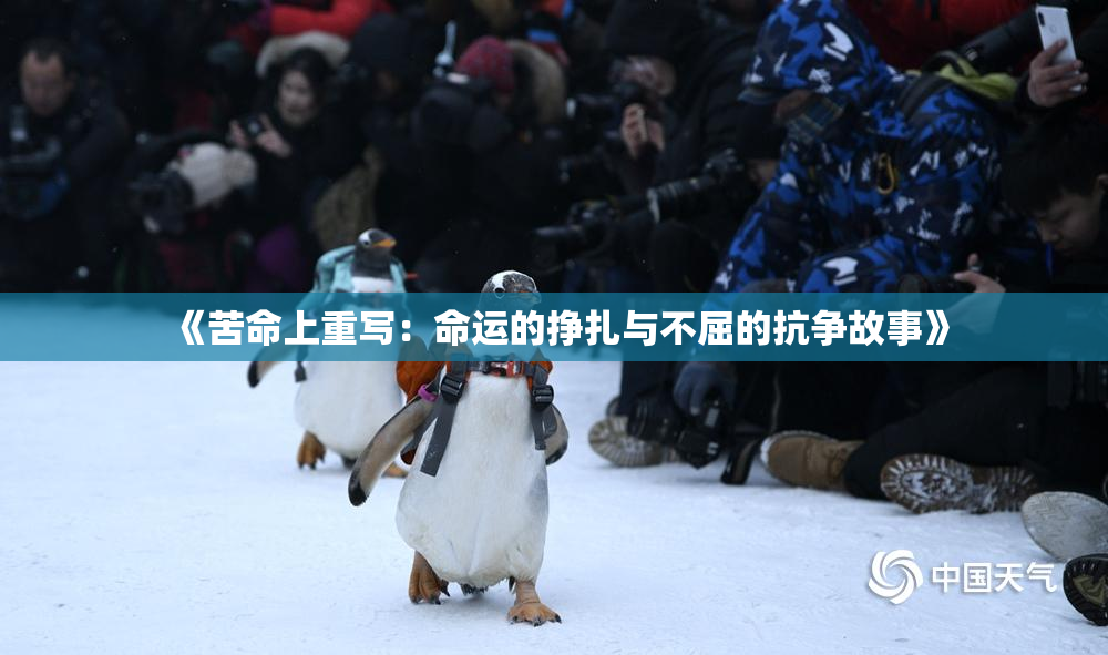《苦命上重写：命运的挣扎与不屈的抗争故事》