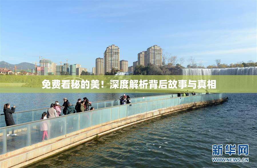 免费看秘的美！深度解析背后故事与真相