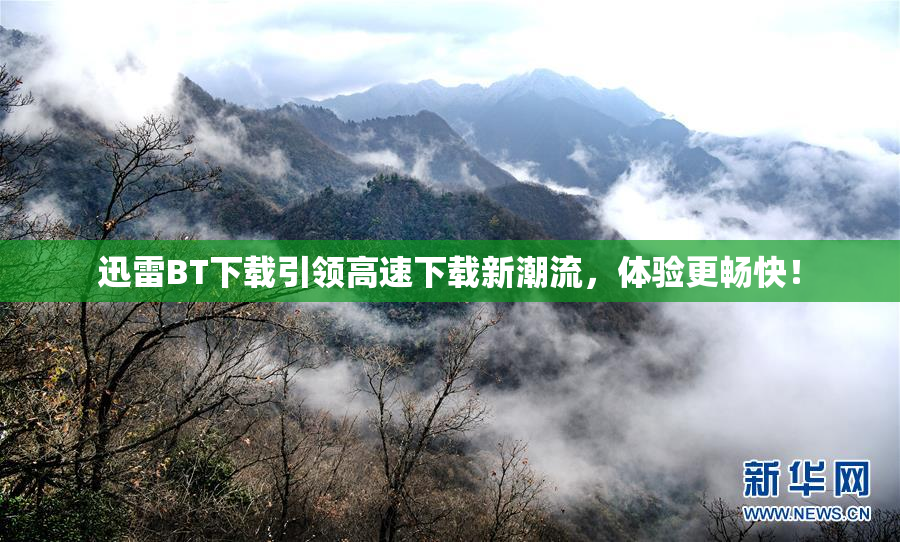 迅雷BT下载引领高速下载新潮流，体验更畅快！