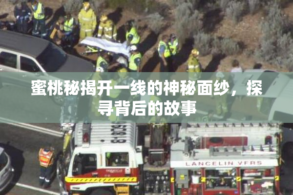 蜜桃秘揭开一线的神秘面纱，探寻背后的故事