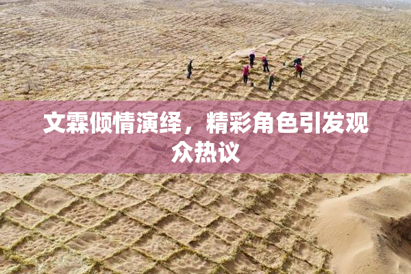 文霖倾情演绎，精彩角色引发观众热议