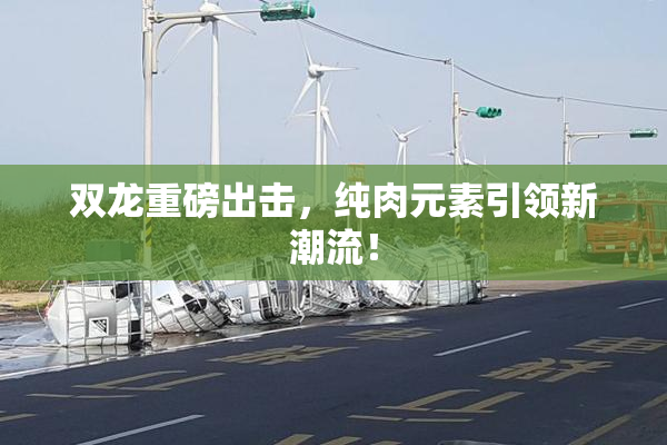双龙重磅出击，纯肉元素引领新潮流！