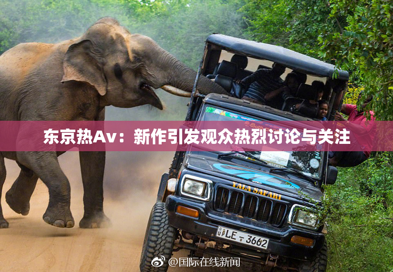 东京热Av：新作引发观众热烈讨论与关注
