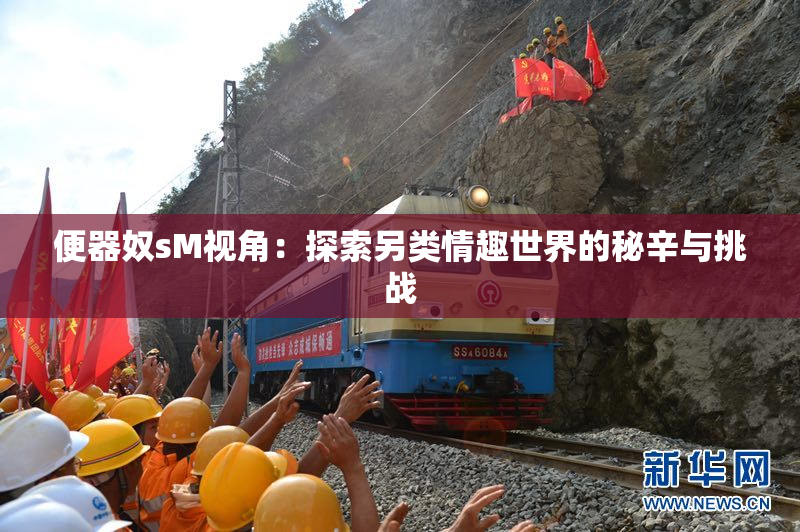 便器奴sM视角：探索另类情趣世界的秘辛与挑战