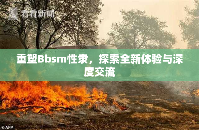 重塑Bbsm性隶，探索全新体验与深度交流