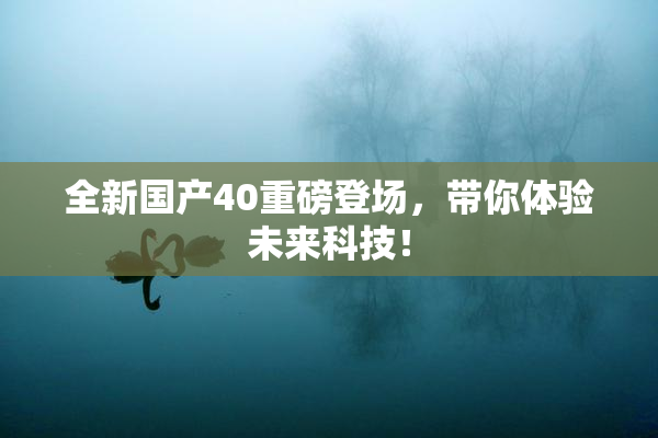 全新国产40重磅登场，带你体验未来科技！