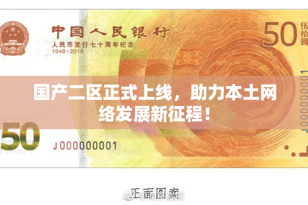 国产二区正式上线，助力本土网络发展新征程！