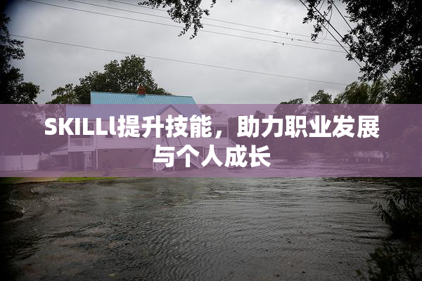 SKILLl提升技能，助力职业发展与个人成长