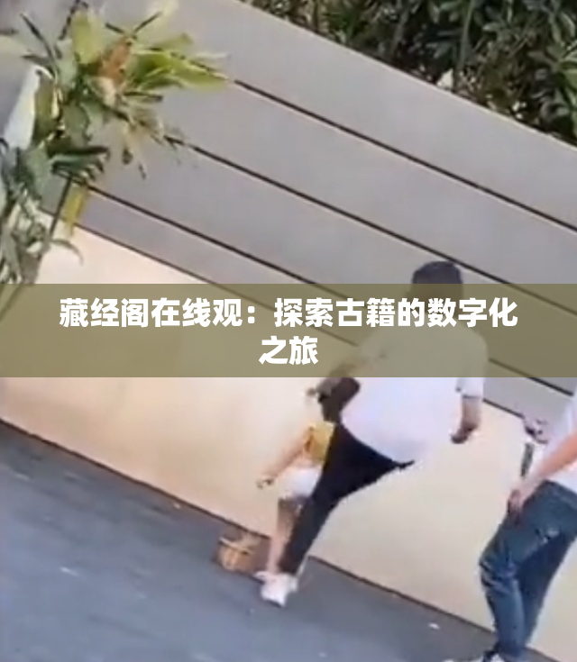 藏经阁在线观：探索古籍的数字化之旅