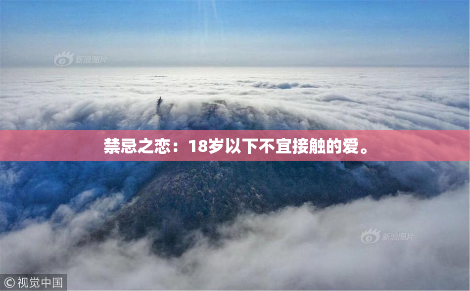 禁忌之恋：18岁以下不宜接触的爱。