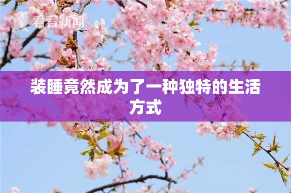 装睡竟然成为了一种独特的生活方式
