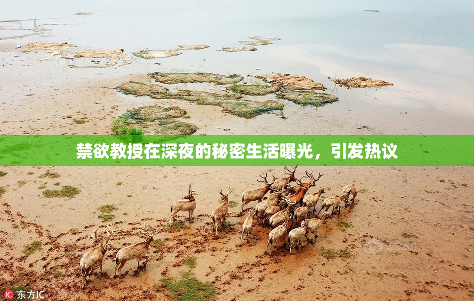禁欲教授在深夜的秘密生活曝光，引发热议