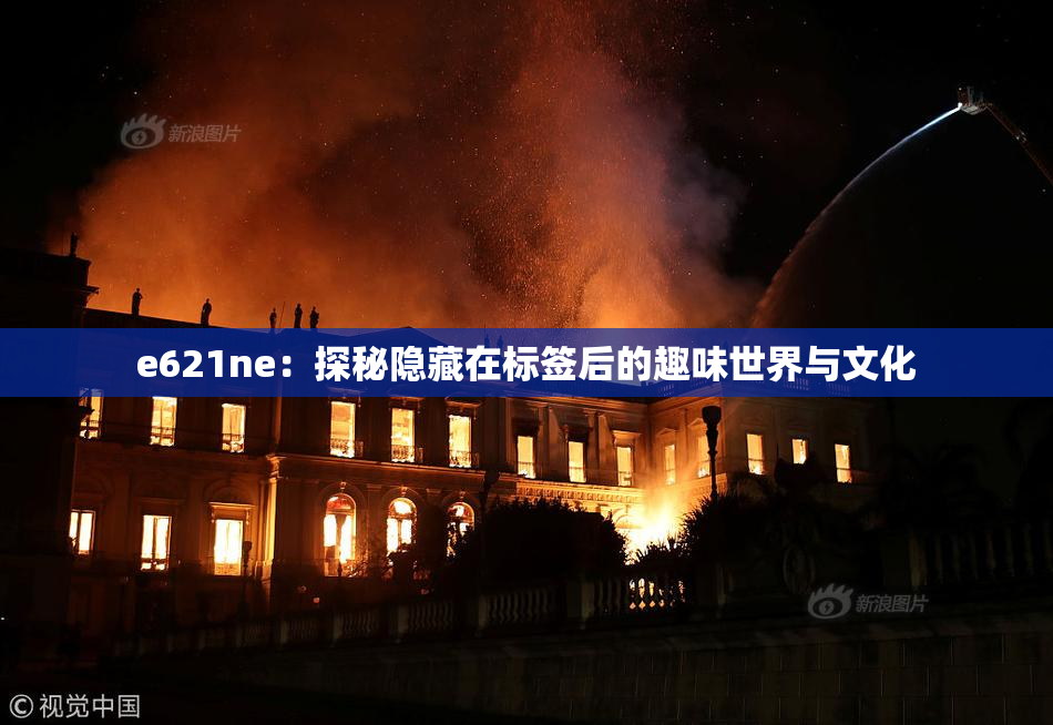 e621ne：探秘隐藏在标签后的趣味世界与文化