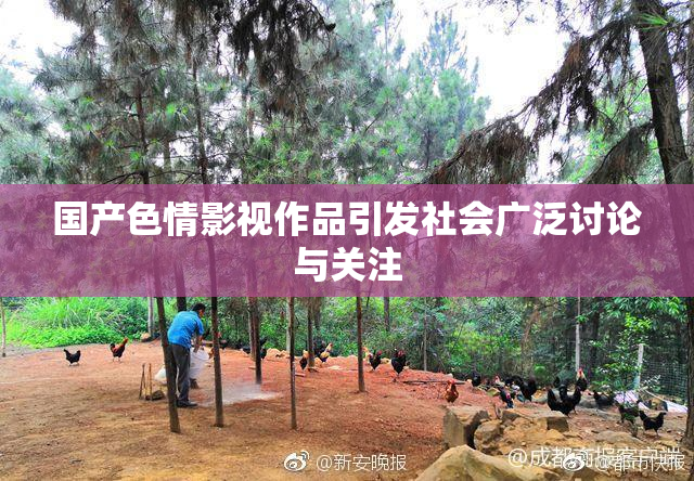 国产色情影视作品引发社会广泛讨论与关注