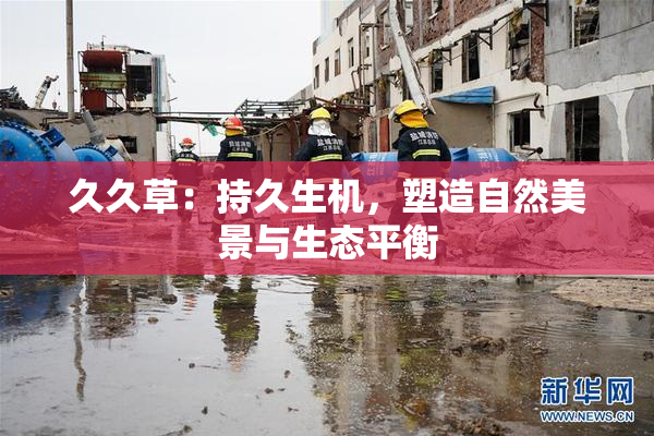 久久草：持久生机，塑造自然美景与生态平衡