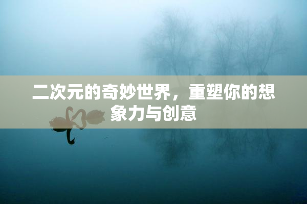二次元的奇妙世界，重塑你的想象力与创意