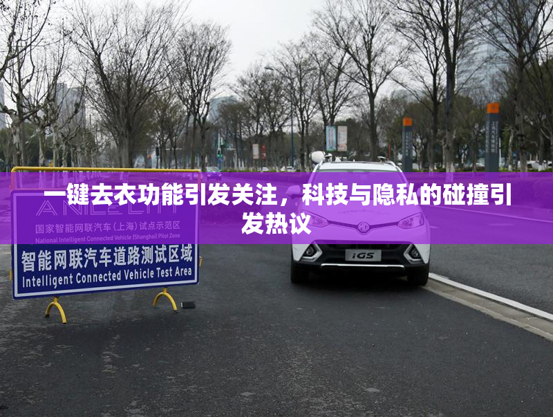一键去衣功能引发关注，科技与隐私的碰撞引发热议