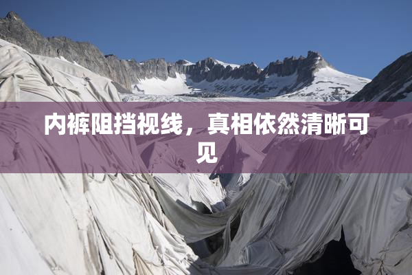 内裤阻挡视线，真相依然清晰可见