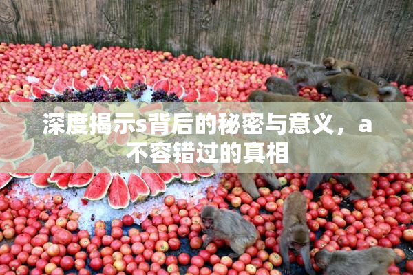 深度揭示s背后的秘密与意义，a不容错过的真相