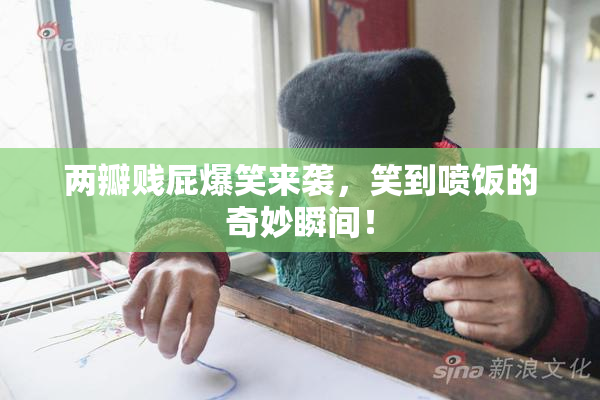 两瓣贱屁爆笑来袭，笑到喷饭的奇妙瞬间！