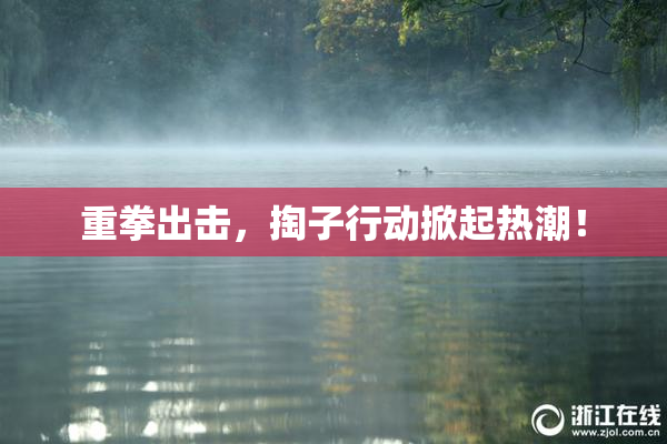 重拳出击，掏子行动掀起热潮！