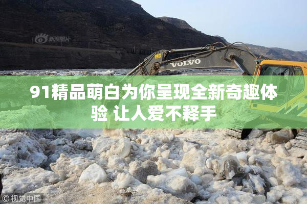 91精品萌白为你呈现全新奇趣体验 让人爱不释手