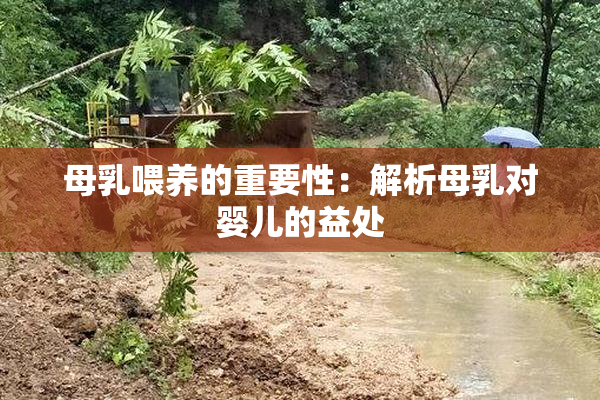 母乳喂养的重要性：解析母乳对婴儿的益处
