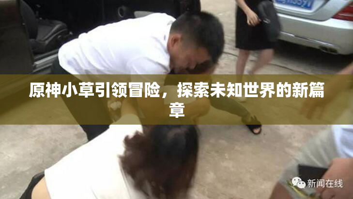 原神小草引领冒险，探索未知世界的新篇章