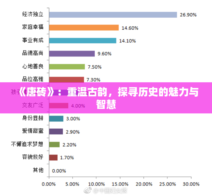 《唐砖》：重温古韵，探寻历史的魅力与智慧
