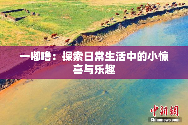 一嘟噜：探索日常生活中的小惊喜与乐趣