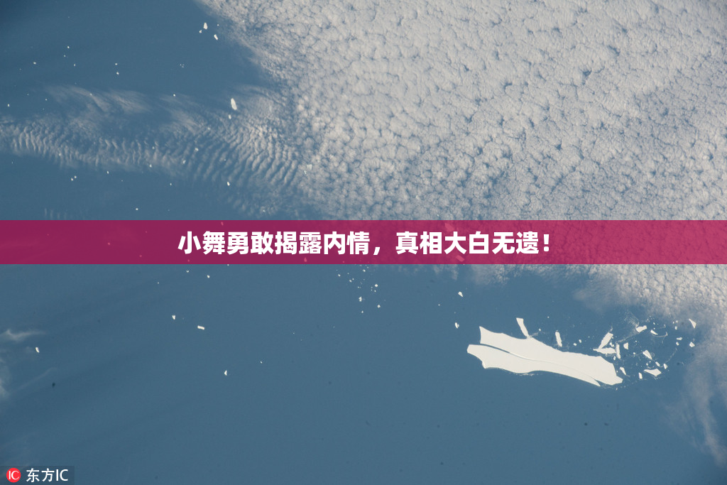 小舞勇敢揭露内情，真相大白无遗！