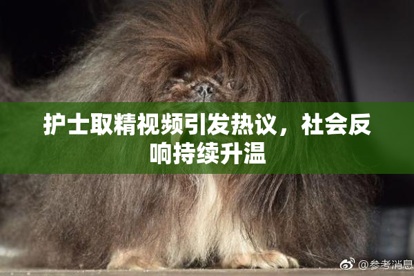 护士取精视频引发热议，社会反响持续升温