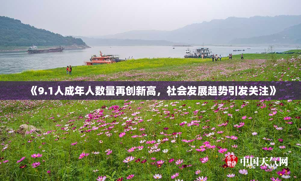 《9.1人成年人数量再创新高，社会发展趋势引发关注》